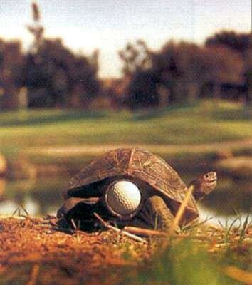 Funny golf emails, jokes, funny ass jokes. Funny golf emails, jokes,