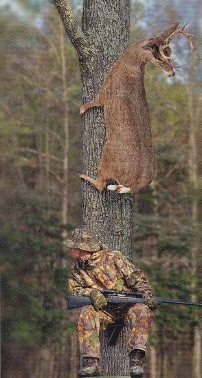 funny deer pictures. Deer hunter. Hialrious funny